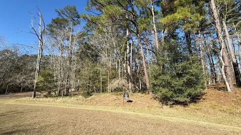 0 S Royale Greens Drive Coldspring TX 77331