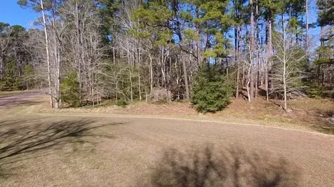 0 S Royale Greens Drive Coldspring TX 77331