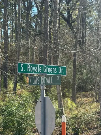 0 S Royale Greens Drive Coldspring TX 77331