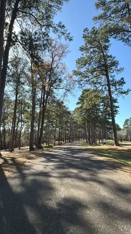 0 S Royale Greens Drive Coldspring TX 77331