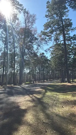 0 S Royale Greens Drive Coldspring TX 77331