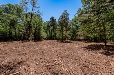 6077 001 Cr 4200 Pennington TX 75856