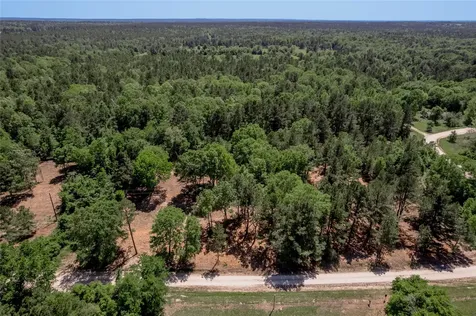 6077 001 Cr 4200 Pennington TX 75856