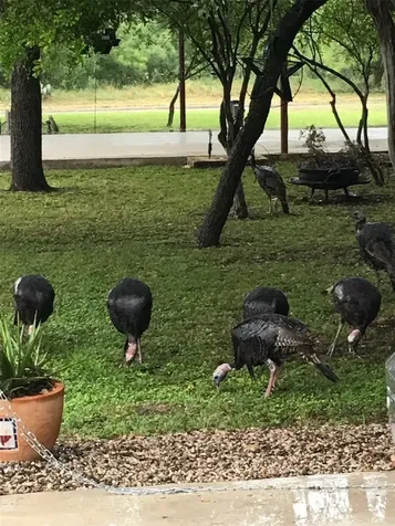102 Bliss Circle Brackettville TX 78832