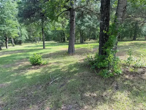 507 Rock Creek Road Trinity TX 75862