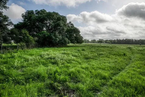Tract 9 S Nassau Road Round Top TX 78954