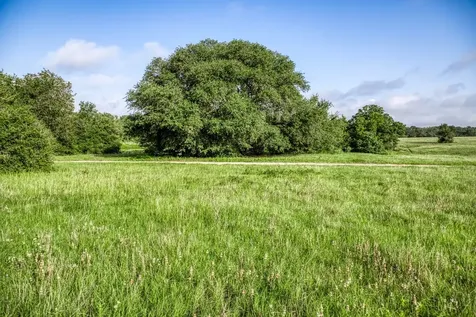 Tract 9 S Nassau Road Round Top TX 78954