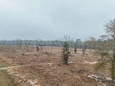 Tbd Fm-3152 Livingston TX 77351