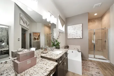 243 S Spotted Fern Drive Montgomery TX 77316