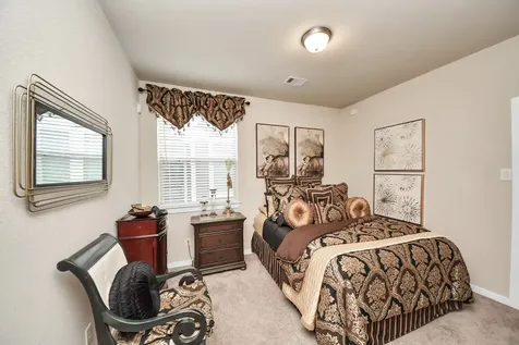 243 S Spotted Fern Drive Montgomery TX 77316