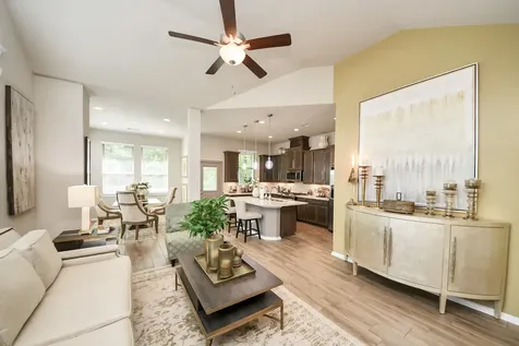 243 S Spotted Fern Drive Montgomery TX 77316