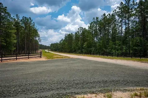 Tract 7b Timberland Branch Drive Woodville TX 75979
