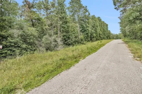 Lot 21 E Double Creek Road Willis TX 77378