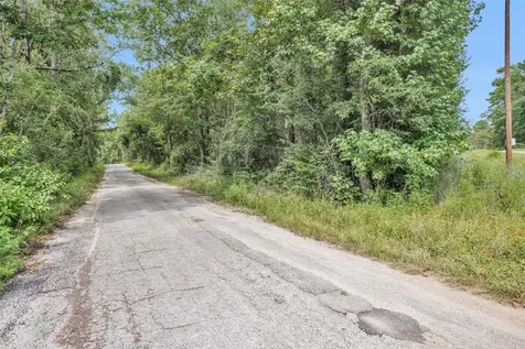 Lot 21 E Double Creek Road Willis TX 77378