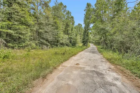 Lot 21 E Double Creek Road Willis TX 77378