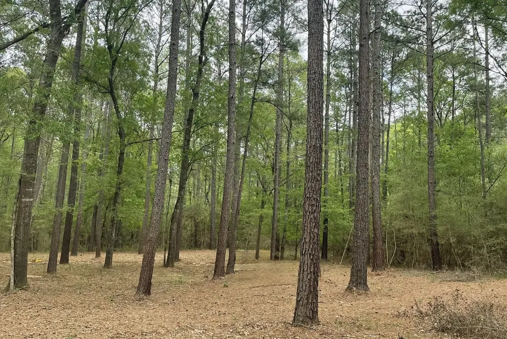 Lot 2&3 Remington Road Huntsville TX 77340
