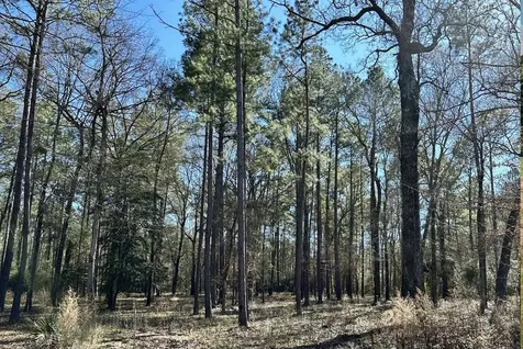 Lot 2&3 Remington Road Huntsville TX 77340