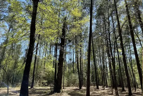 Lot 2&3 Remington Road Huntsville TX 77340