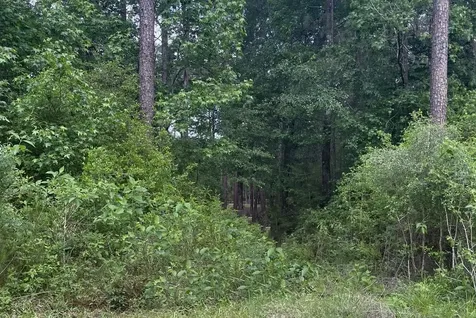 Lot 2&3 Remington Road Huntsville TX 77340