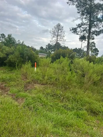 53 Road 5248 Cleveland TX 77327