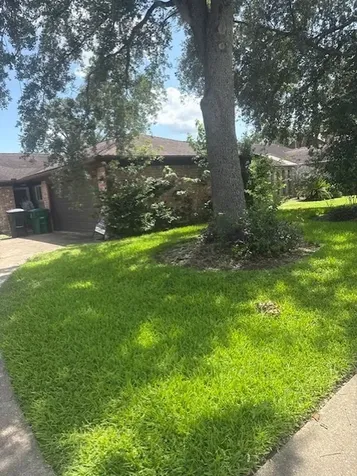7955 Fawn Terrace Drive Houston TX 77071