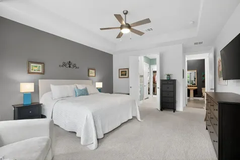 107 Spider Lily Court Montgomery TX 77316