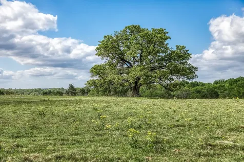 11320 County Road 343 Caldwell TX 77836