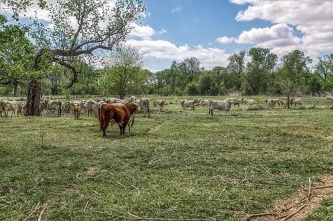 11320 County Road 343 Caldwell TX 77836