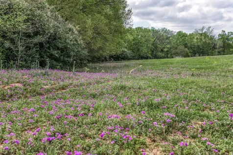 11320 County Road 343 Caldwell TX 77836