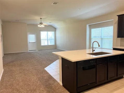 1507 Bella Garden Court Spring TX 77373