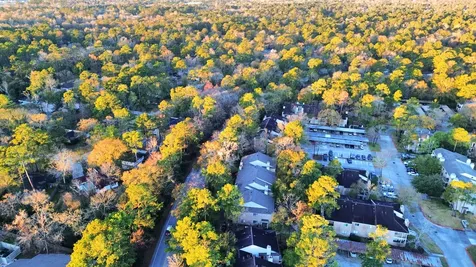 3500 Tangle Brush Drive 186 The Woodlands TX 77381