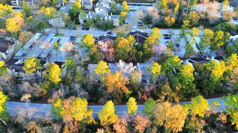 3500 Tangle Brush Drive 186 The Woodlands TX 77381