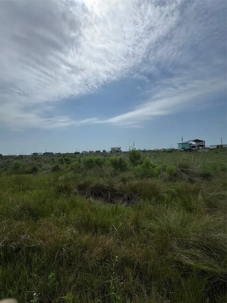 Lot 390 Titanic Sargent TX 77414
