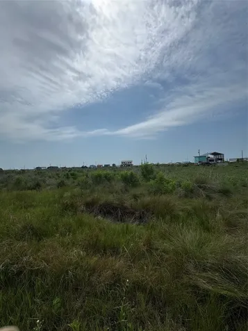 Lot 390 Titanic Sargent TX 77414
