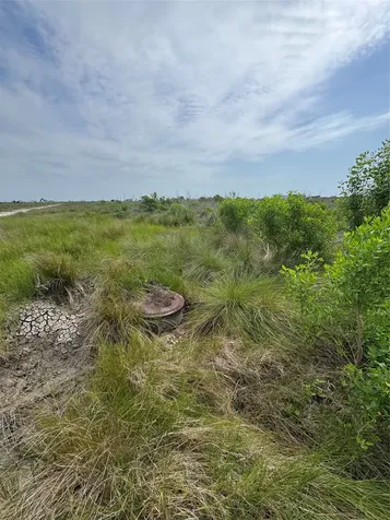 Lot 390 Titanic Sargent TX 77414