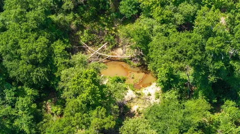 223 An County Road 4250 Palestine TX 75803