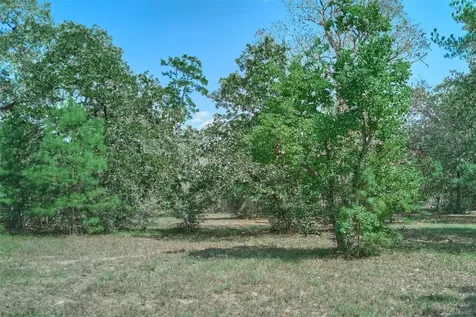 16039 Yaupon Berry Plantersville TX 77363