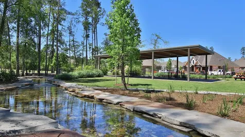 315 Texoma Plains Drive Conroe TX 77304