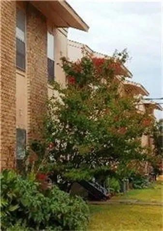 500 E 7th Street Springtown TX 76082