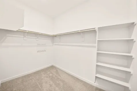 16314 Texas Flatland Way Hockley TX 77447