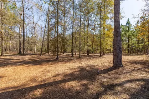 27688 Rio Blanco Drive Splendora TX 77372