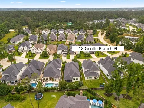 18 Gentle Branch Place The Woodlands TX 77375