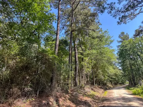 36 Westville Road Groveton TX 75854