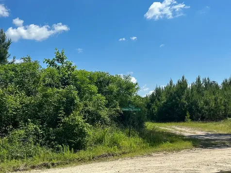 36 Westville Road Groveton TX 75854