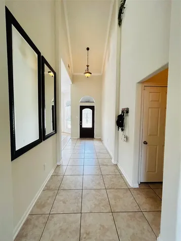 21726 Hannover Village Drive Spring TX 77388