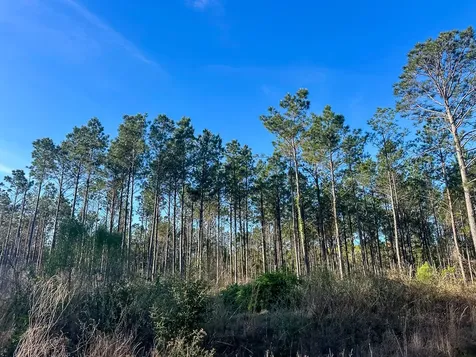 2 Highway 146 Livingston TX 77351
