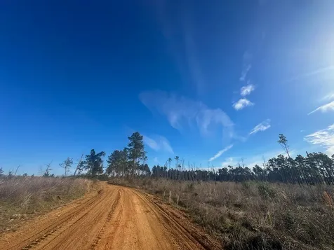 2 Highway 146 Livingston TX 77351