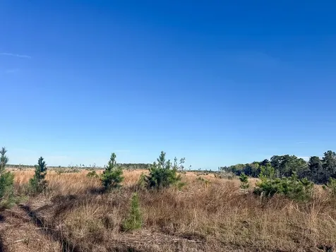 2 Highway 146 Livingston TX 77351