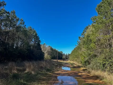 2 Highway 146 Livingston TX 77351