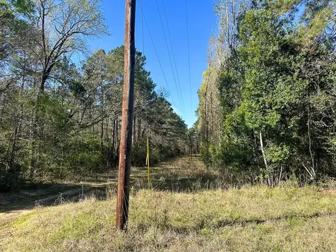 2 Highway 146 Livingston TX 77351